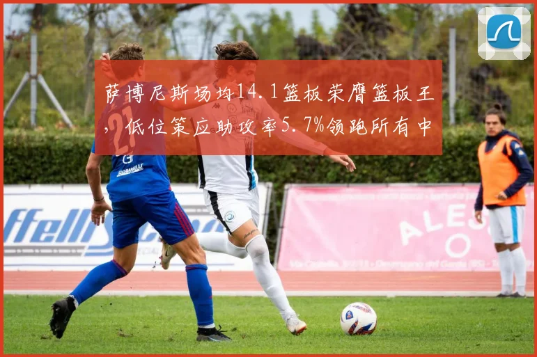 萨博尼斯场均14.1篮板荣膺篮板王,低位策应助攻率5.7%领跑所有中锋